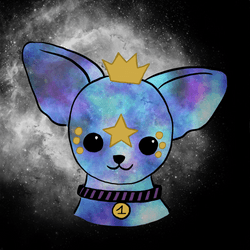 Cute space chihuahua dogs collection image