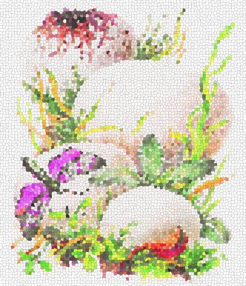 The Mushroom Collection