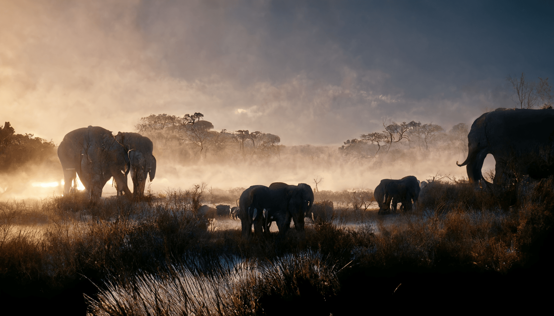 Addo Elephant National Park, South Africa