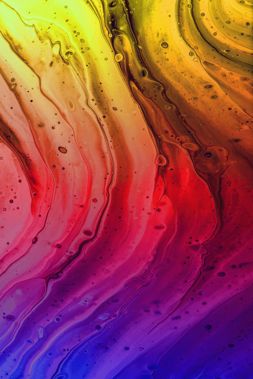 Rainbow Fluid - Kissed By Creativity