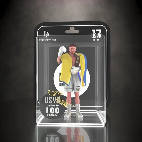 Oleksandr Usyk - Heavyweight Champion of the World! 60/100