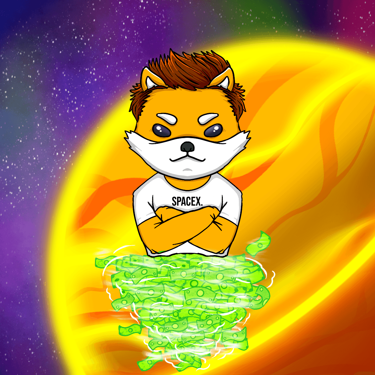 Dogelon Mars Stocknado NFT 244 Dogelon Mars Stocknado Edition OpenSea