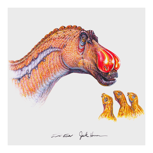 #46 Maiasaura