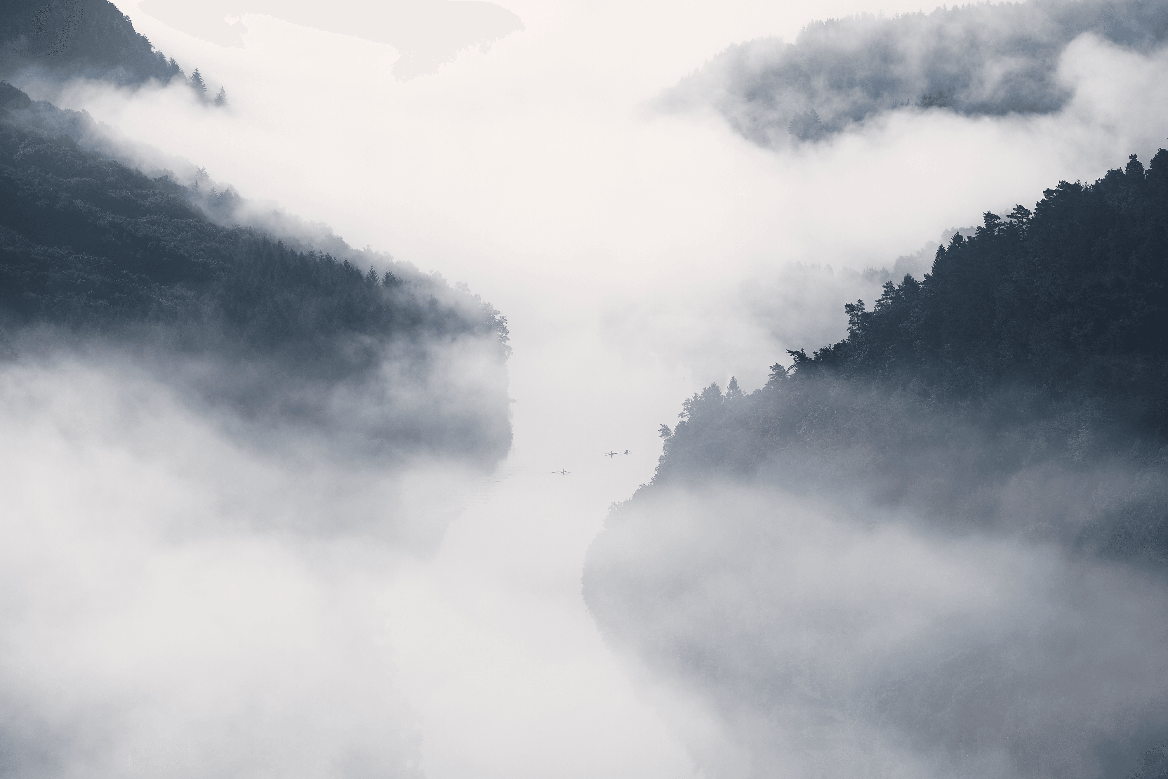 Gliding through the fog