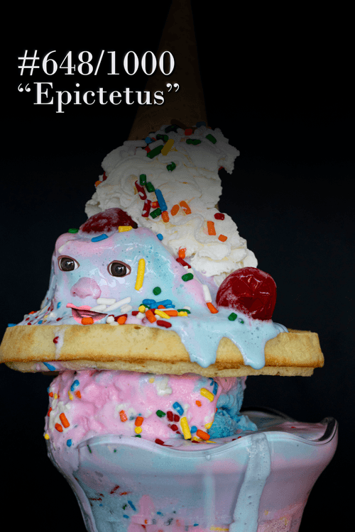 #648 - Epictetus