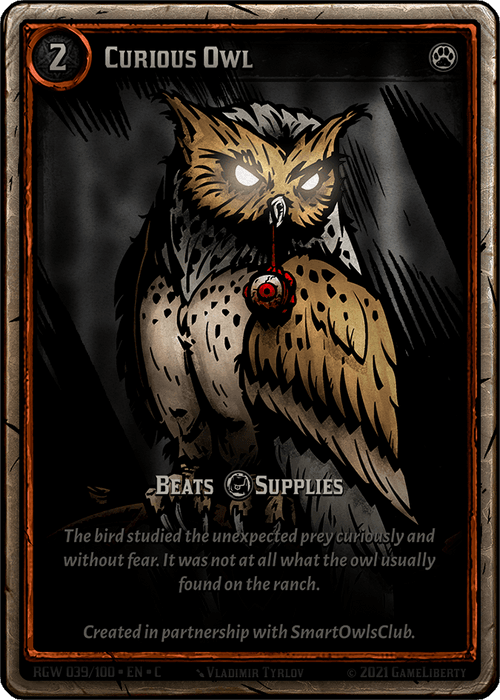 Curious Owl