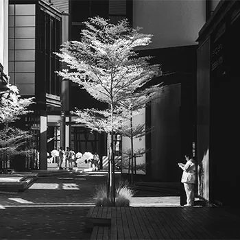 Invisible Light (IR)