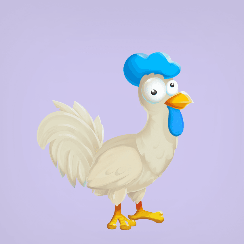 Chicken 21571