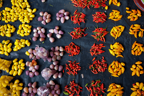 Foodways Amazonia