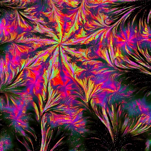 Deep Dream Fractal