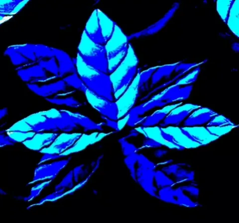 Weird Art #6 Blue Leaves
