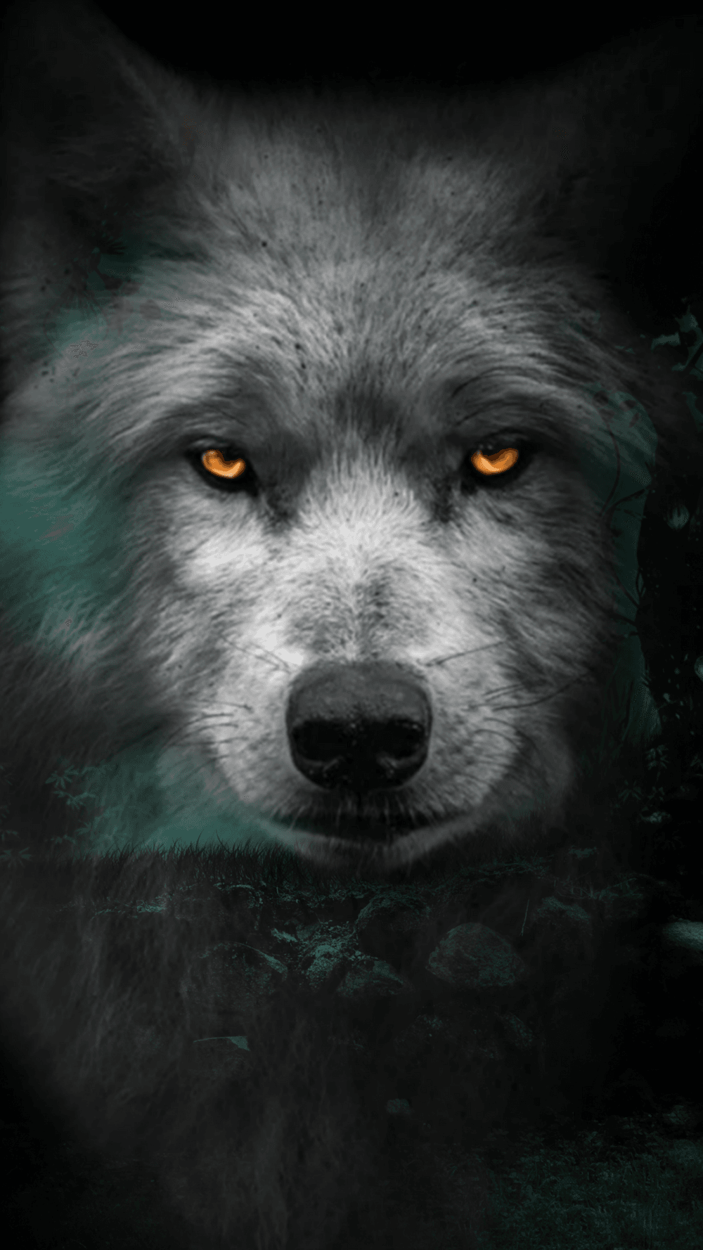Wolf #006 - Fantasy Art Nft | OpenSea