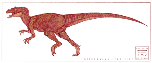 The Allosaurus Collection