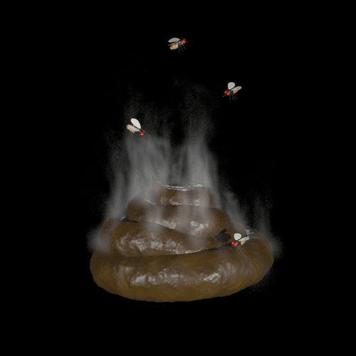 Dobe Poo