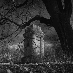 Infrared White Tower Collection collection image