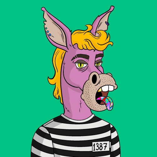 Criminal Donkey 1161