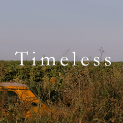 Timeless Photography NFT collection image