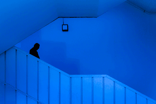In Color, Hors-Séries