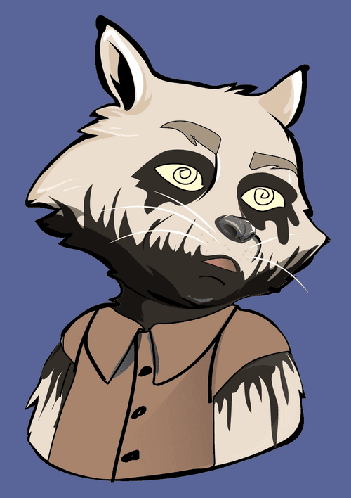 Raccoon-300