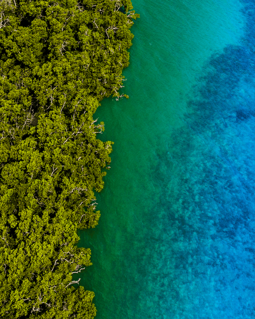 Off The Island of Flores