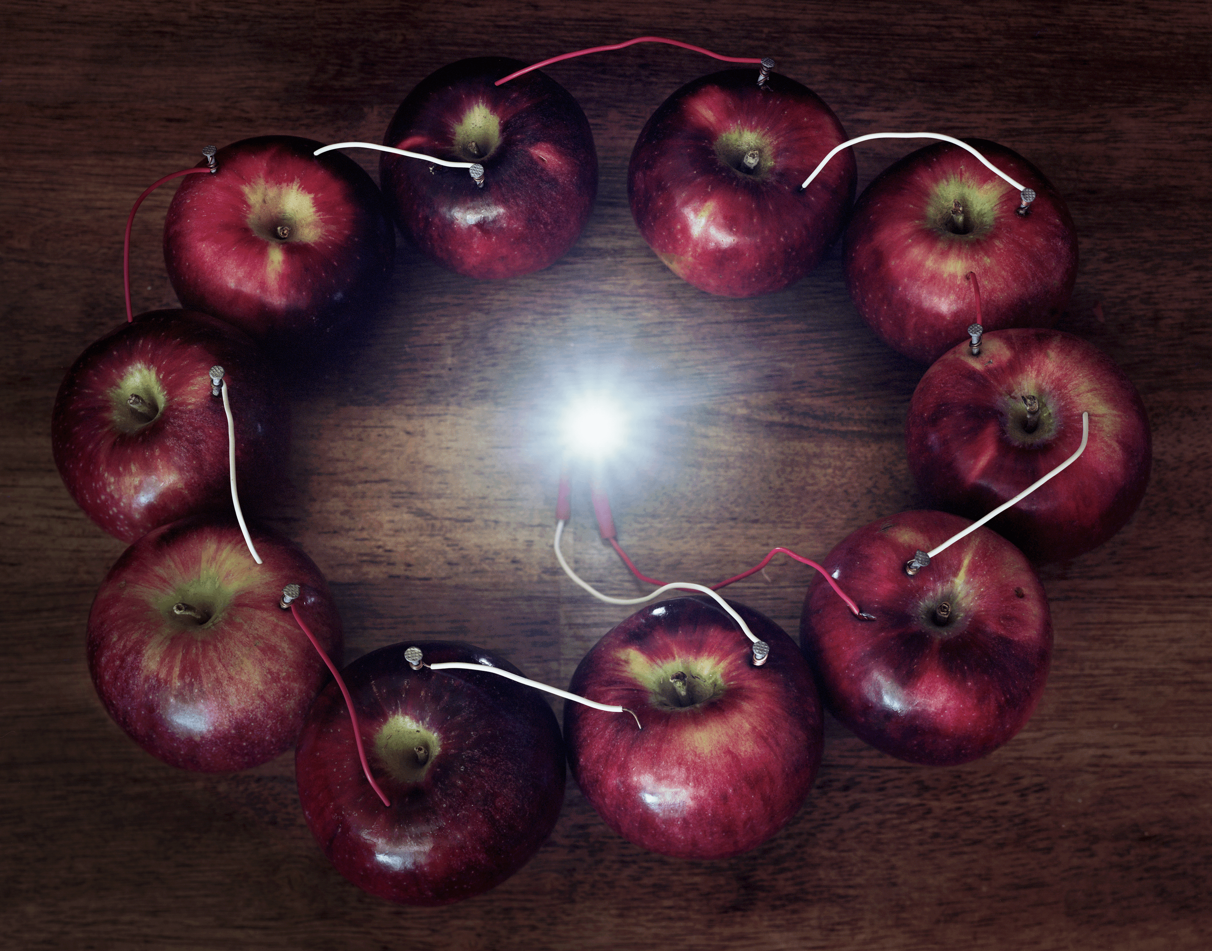 Back to Light - Electricity From a Ring of Apples, 2013