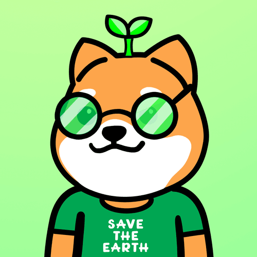 bobo Shiba #279