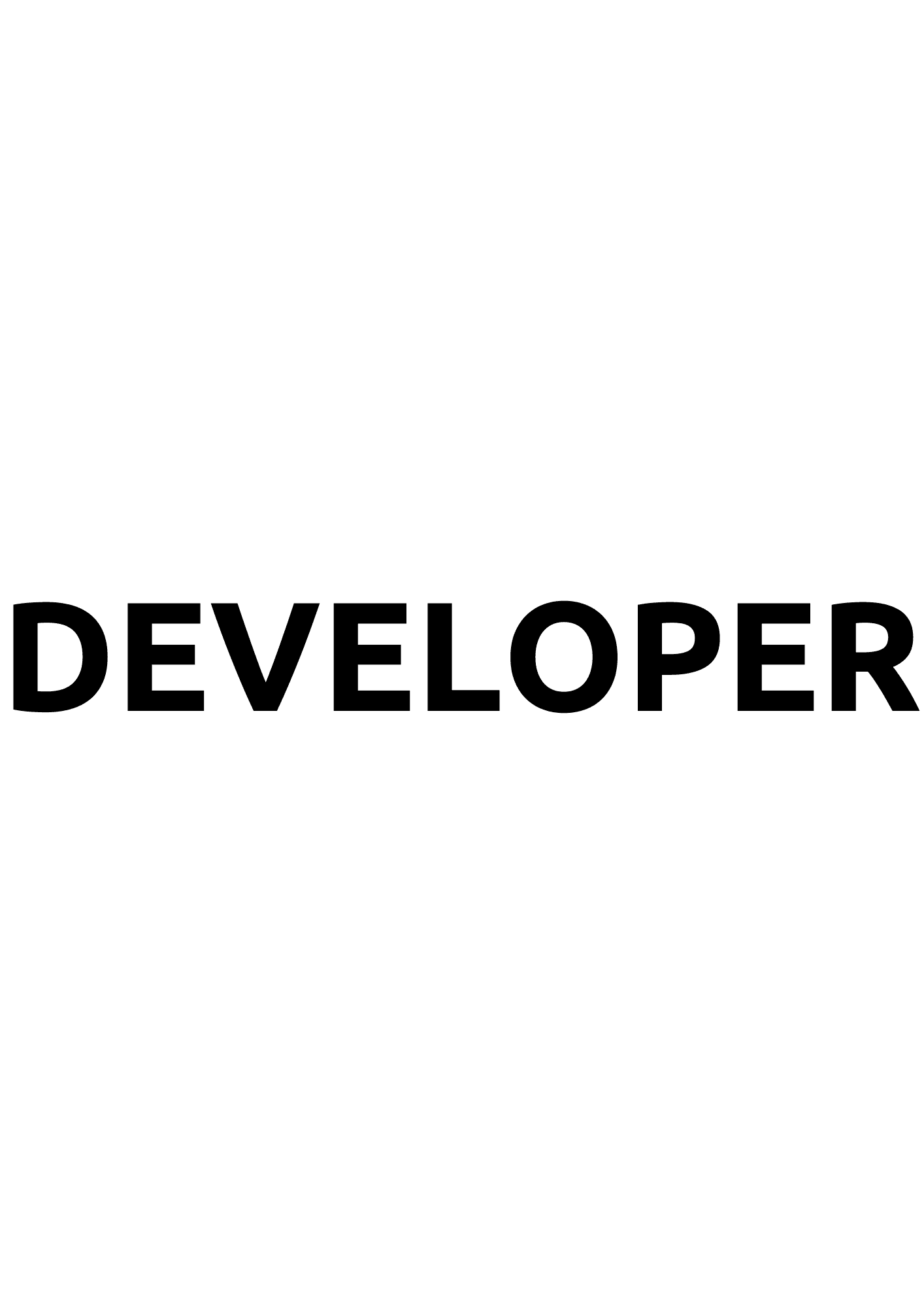 Developer-Team