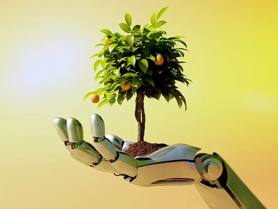 Robot Tree