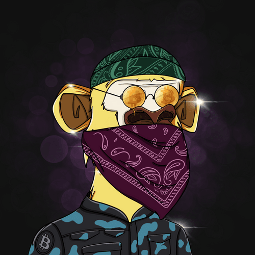 Elite Ape #9584