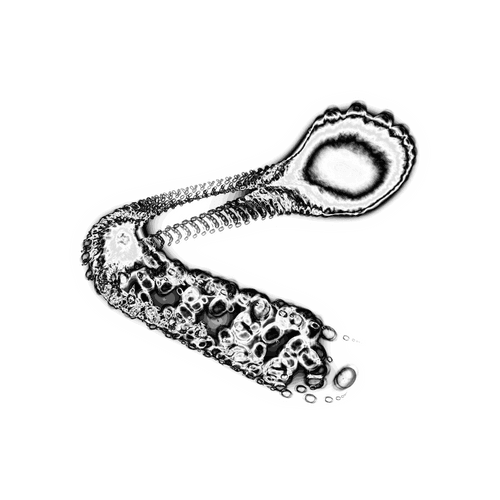 A day in Asia 202109070856