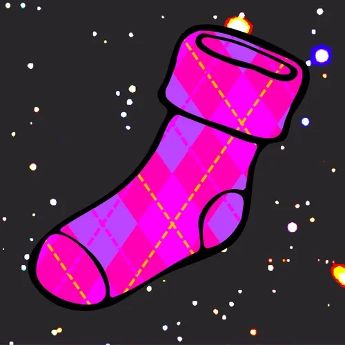 Socks in Space