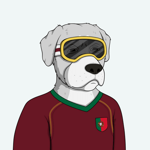 World Cup Dog #125