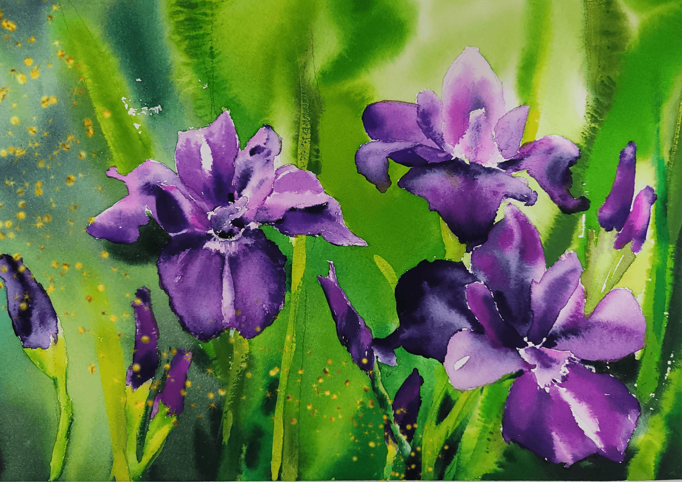 Iris flowers that brighten your heart-G001