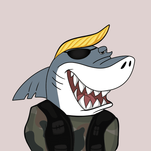 Sussy Shark #348
