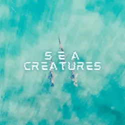 Sea Creatures from the Sky collection image