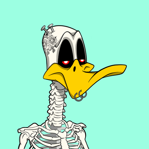 Numbed Duck 50