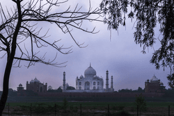Taj Mahal - Different Moods collection image