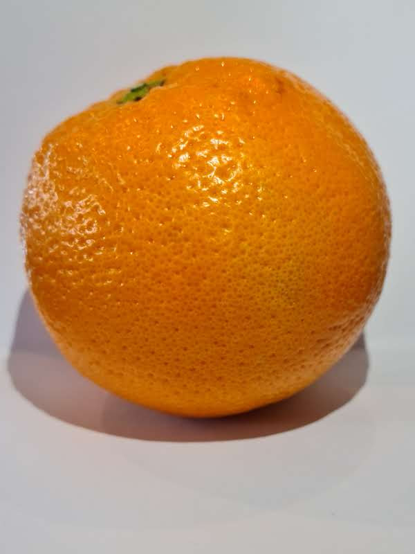 World's most expensive orange. Collection OpenSea