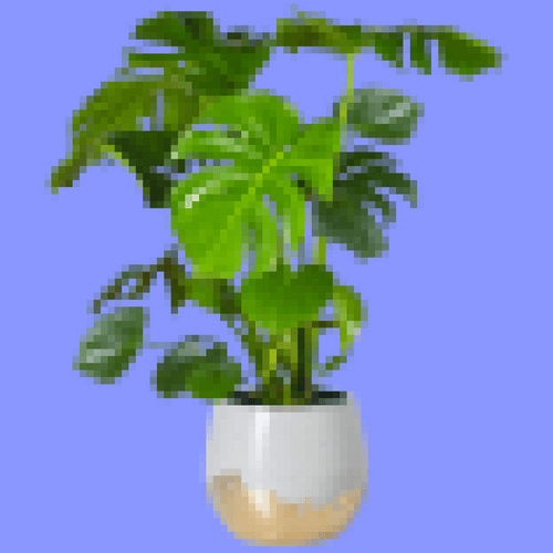 NFT Plants