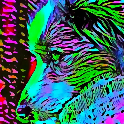 Breeds #34 (Miniature American Shepherd) 