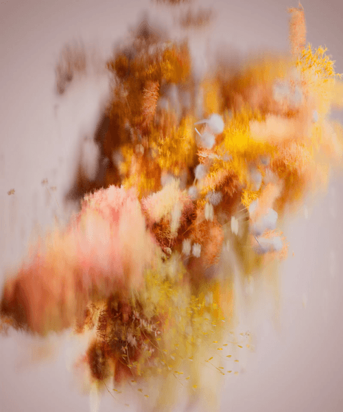 Autumn Pollination