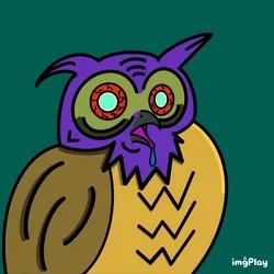 junky owl crew collection image