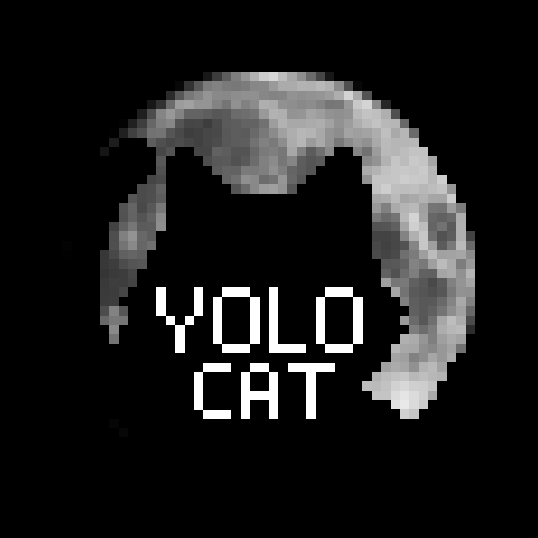 YOLO-Cat-Club logo