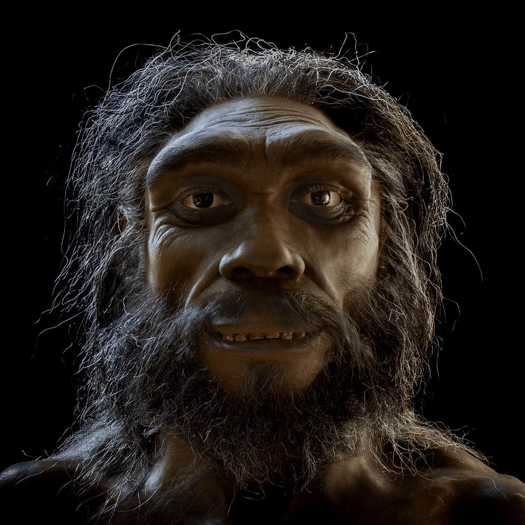 Homo heidelbergensis: Hominin #9