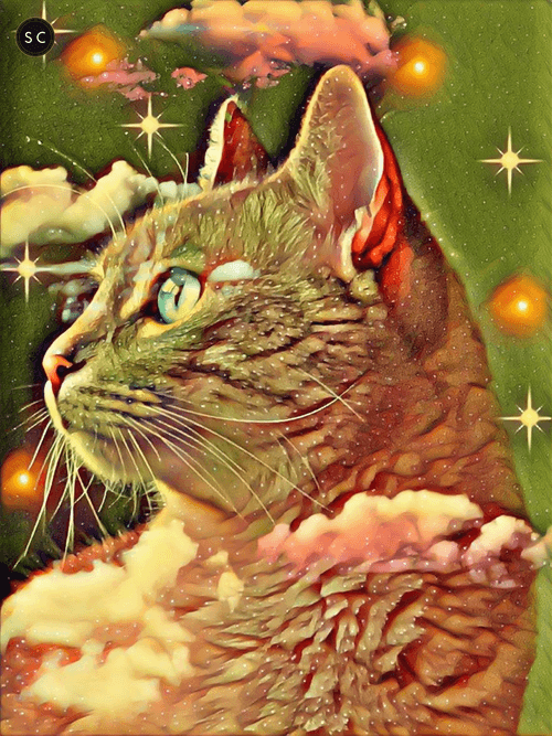 SpaceCat#4