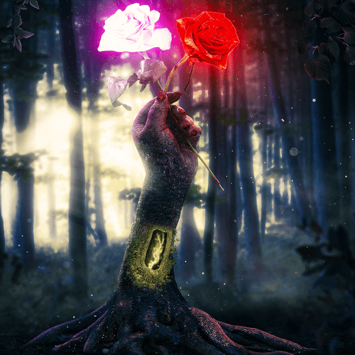 Imaginary Visuals