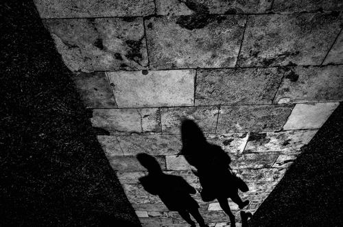 Shadow couple #24