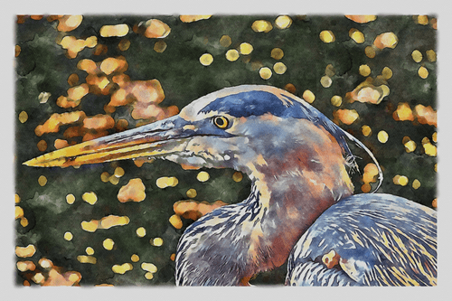 Watercolor - Great Blue Heron 8