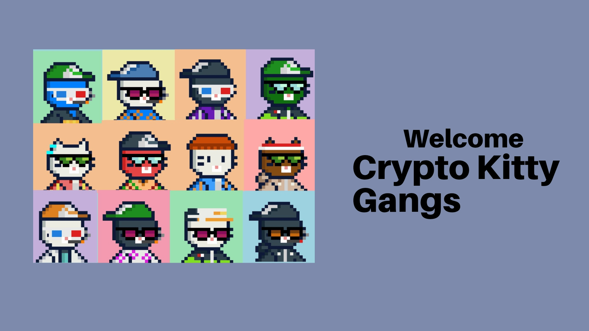 crypto kitty gang