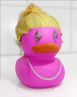 Rubber Duckiez collection image